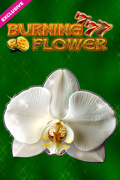 Burning Flower